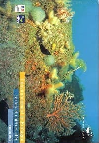 L'environnement en Bretagne. Cartes et chiffres clés 2008 - Collectif