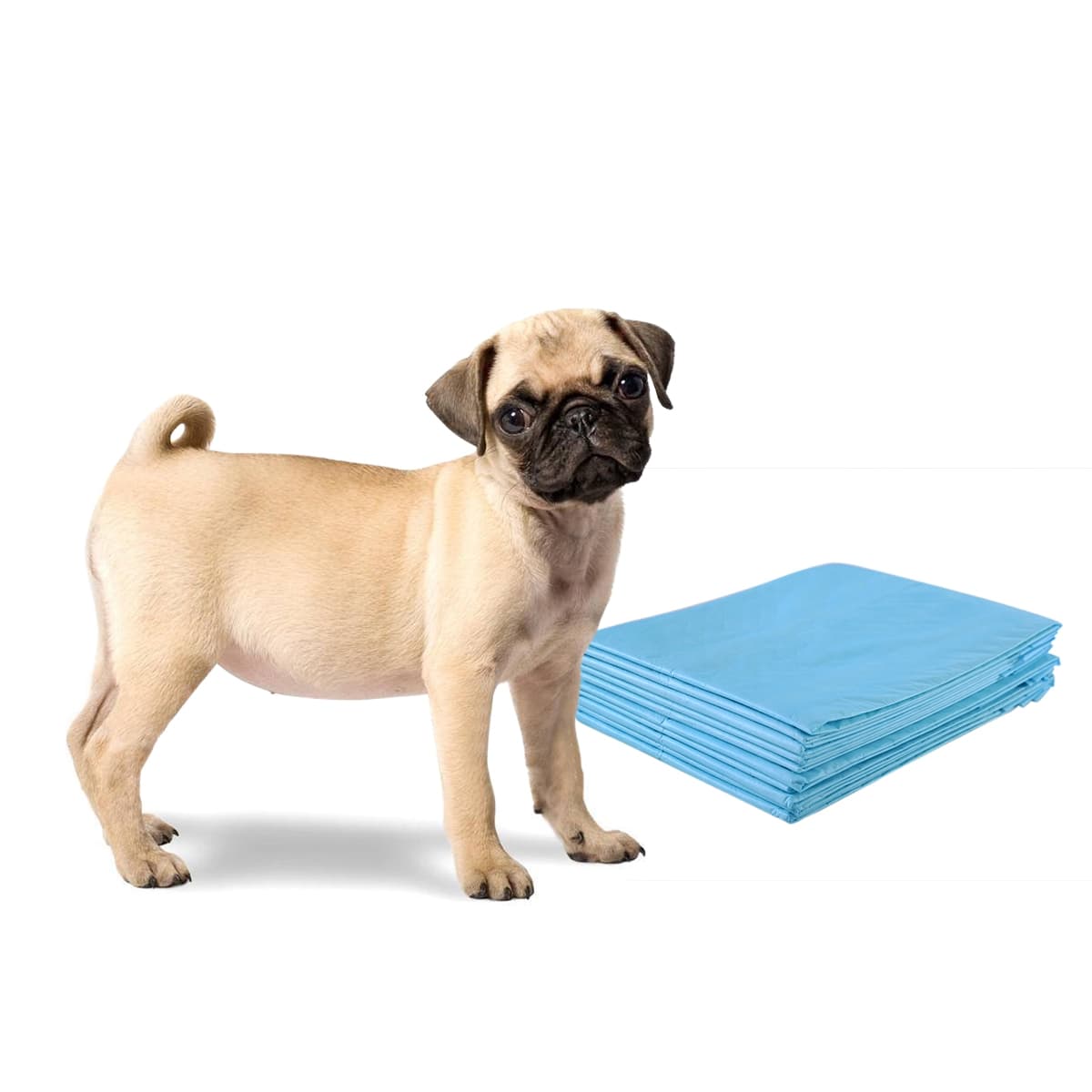 CostwayTapis éducateurs pour Chiot 5 Couches Lot de 200 Tapis Absorant pour Animaux 60x60CM