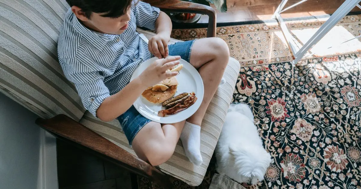 L'alimentation idéale pour un animal vieillissant : conseils pratiques
