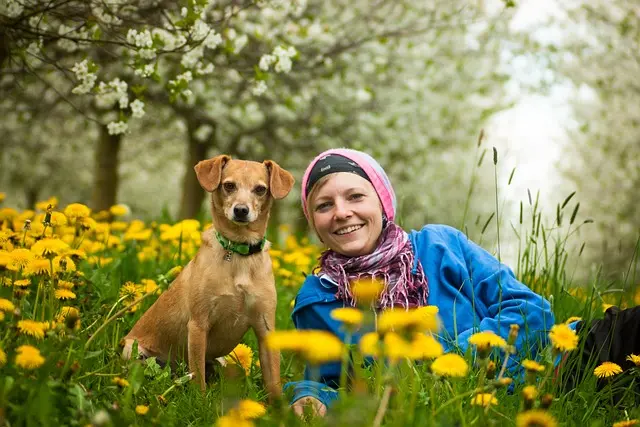 Comment améliorer la mobilité de votre animal vieux : 5 conseils pratiques