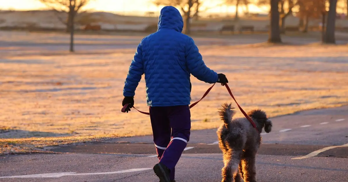 Les exercices doux pour maintenir la forme de votre animal âgé