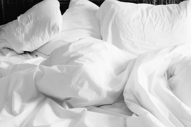Comment améliorer le confort de votre animal âgé à la maison