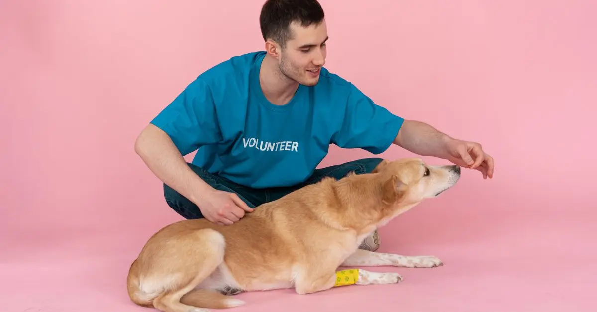 Les régimes hypoallergéniques pour les chiens âgés