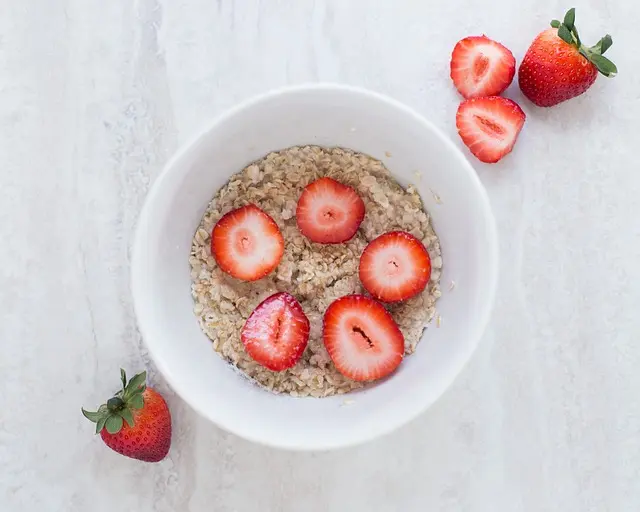 10 aliments à privilégier pour le bien-être des animaux âgés