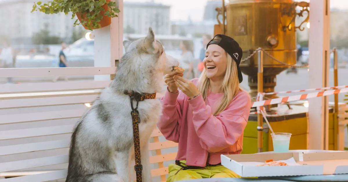 10 aliments à privilégier pour le bien-être des animaux âgés