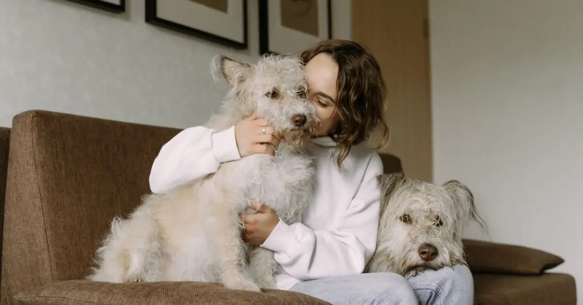 10 conseils essentiels pour le bien-être des animaux âgés