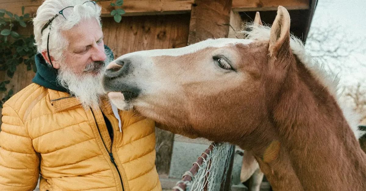 Comment améliorer le bien-être des animaux vieillissants