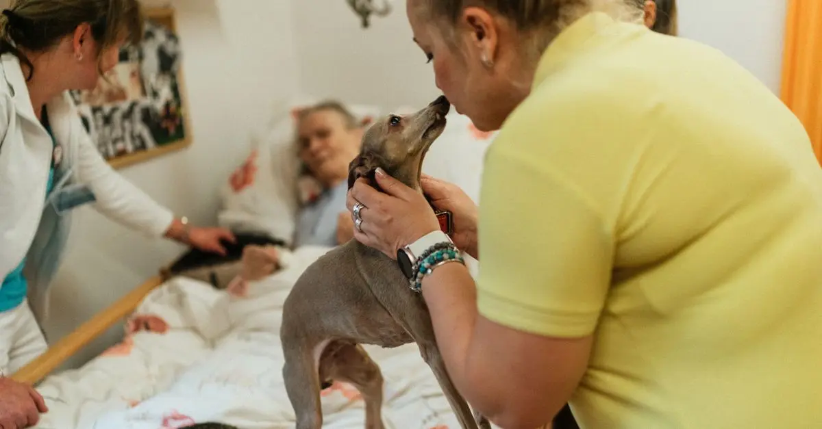 Pourquoi la stimulation cognitive est-elle essentielle pour les animaux âgés ?