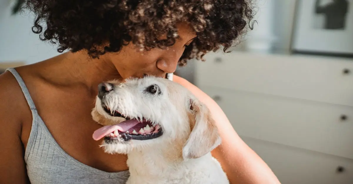 Les 10 meilleures pratiques pour le bien-être des animaux âgés
