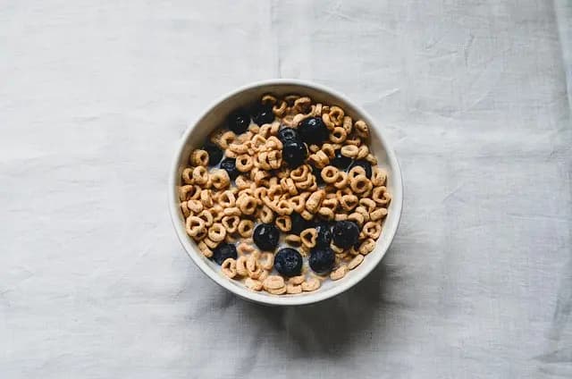 10 aliments à privilégier pour le bien-être des animaux âgés