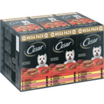Cesar Multipack Terrine classique 24x150g