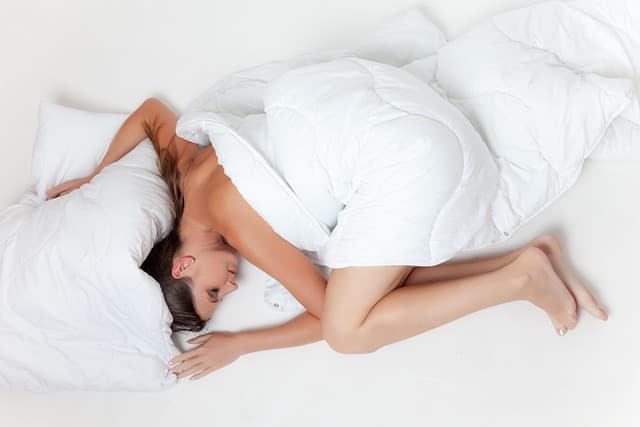 Comment aider votre animal âgé à mieux dormir