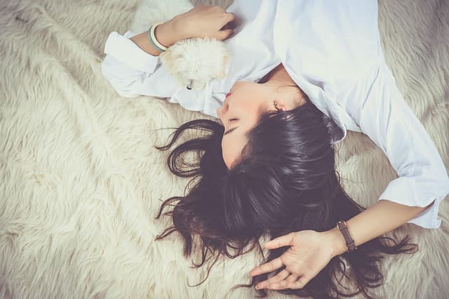 Les meilleurs conseils pour le bien-être des animaux vieux