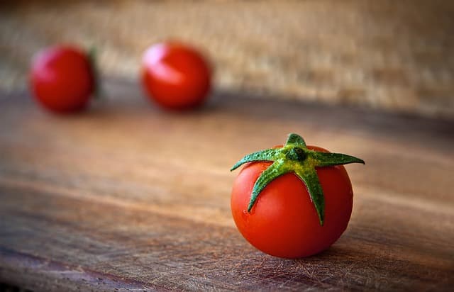 Les bénéfices d'une alimentation naturelle pour les animaux vieillissants