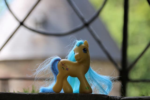 Guide pratique pour choisir les meilleurs jouets pour animaux âgés