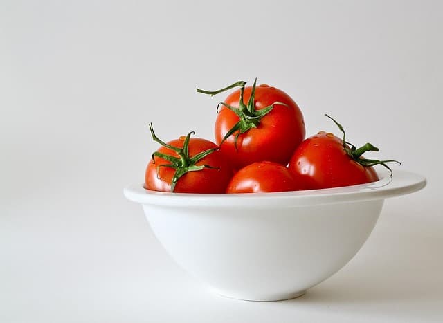 Les meilleurs aliments pour le bien-être des animaux âgés