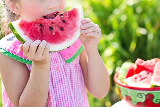 L'alimentation idéale pour un animal âgé : conseils pratiques